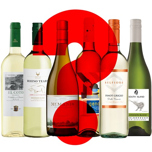 Surprise White Wine Case of 6 - Top-Rated